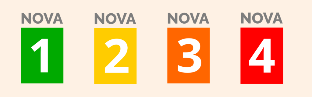 NOVA classification system